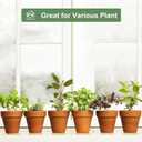 Orceler 4 Inch Terracotta Pots with Saucer - 6 Pack Small Clay Plant Pots with Drainage Holes, Flower Pots with Tray, Terra Cotta Pots for Indoor Outdoor Plants, Crafts, Wedding Favor