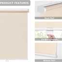 LazBlinds No Tools No Drill Cordless Roller Shades, Light Filtering Roller Blinds for Windows, Thermal Insulated UV Protection Roll Up Window Blinds and Shases, 31'' W x 72'' H, Beige