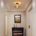 Rpzloila Crystal Ceiling Light Fixture, Modern Semi Flush Mount Ceiling Light, Crystal Chandelier for Kitchen Bedroom Bathroom Entryway Black (Bulb not Included)