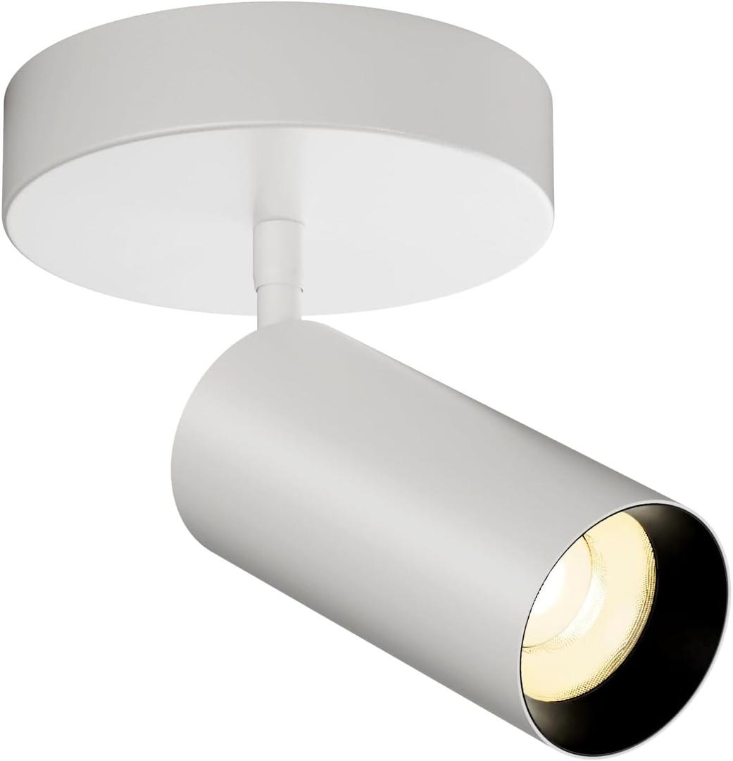 Spotlight Indoor Ceiling LED Light,1 Light 20W Modern Spot Light Fixtures 4000K White Accent 300°Adjustable Picture Painting For Living Room Bedroom Hallway Gallery Flush Mount Directional Lighting, Long
