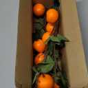 Woration 4PCS Artificial Orange Branches Simulation Tangerine Plastic Tree Plant Stem with Fruit Fake Greenery Home DIY Dcor Props 19.3inch