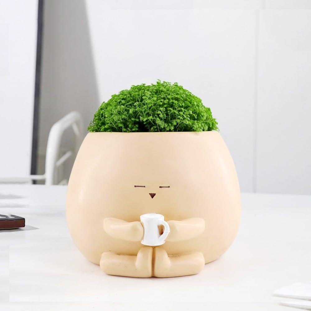 Meltset Face Planters Pots Head Smile Cute Succulent Planter with Drainage Unique Funny Cactus Planter Small Resin Plant Flower Pot for Indoor Outdoor Gift