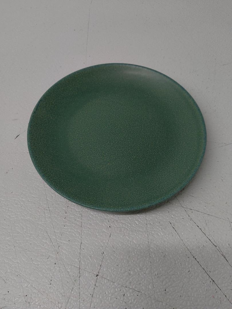 GALLERY Dinner Plates 8 in GREEN