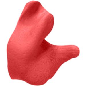 Radians CEP001-R Custom Molded Earplugs (Red)