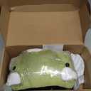 SQEQE Weighted Dinosaur Plush, Weighted Dinosaur Stuffed Animal, Dino Plushies Dino Pillow Toy Gift for Kids Adults 23.6 Inch, 3.1 Lbs (Green)