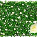 DOEWORKS Expandable Fence Privacy Screen for Balcony Patio Outdoor, 1PC Faux Ivy Fencing Panel for Backdrop Garden Backyard Home Decorations
