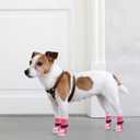 PUPTECK Anti-Slip Dog Socks with Double Sides Grips for Small Medium Large Dogs Hardwood Floors Prevents Licking, Dog Shoes for Hot Pavement Traction Control for Senior Dogs, Fuschia, S
