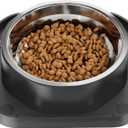 Stainless Steel Dog Bowls, Spill Proof Basic Dogs Bowls for Small Dogs Cats, 2 Cup Dog Food and Water Bowl, Non-Slip Puppy Feeder, Cat Bowl for Feeding Water - Starry Gray (Single)