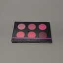 SHANY Shimmer & Matte Cool-Toned Blush Palette - Layer 5 - Refill for the 6 Layer Mini Masterpiece Collection Makeup Set (1 Count (Pack of 1)