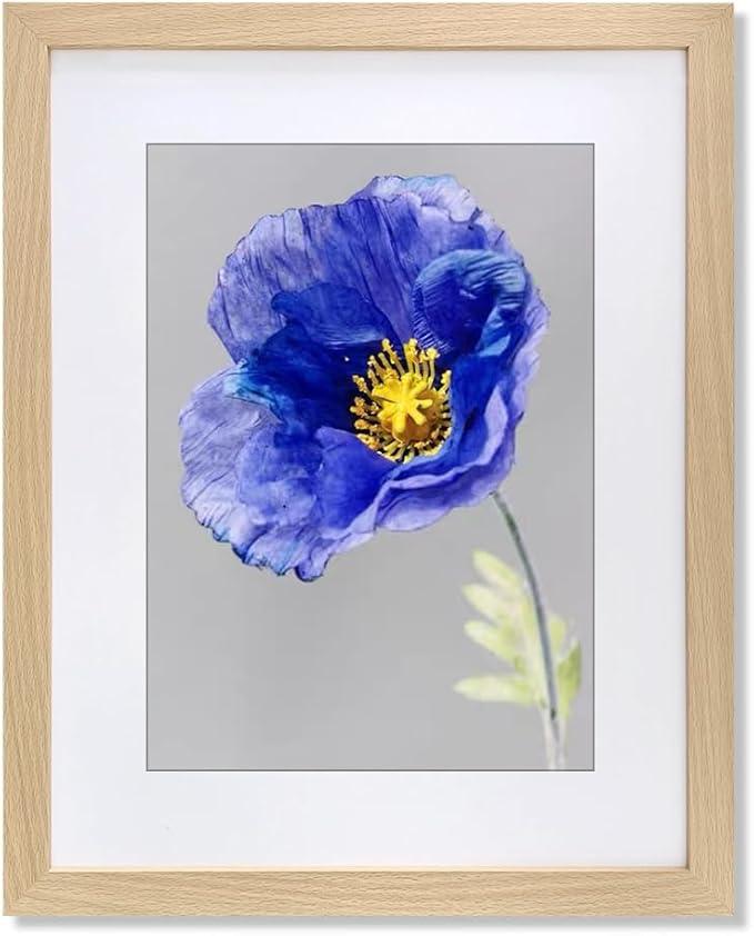 VNVNK 22x28 Frame Natural Wood Color, Perfect for 22x28 Inch Picture without Mat or 18x24 Inch Picture with Mat, Home Wall Decor Picture Frame-1 PCS