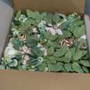 Wedding Aisle Decorations - Set of 10 Pew Flowers - Artificial Roses & Eucalyptus - Pink & Cream - 5.5" x 13" - Elegant Traditional Modern Style - Chair Flowers