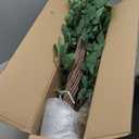 5ft Artificial Ficus Silk Tree (60in) with Plastic Nursery Pot Faux Tree, Fake Plant for Office House Farmhouse Living Room Home Decor (Indoor/Outdoor)