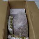 Liacere 350PCS Pink Plates Disposable - Pink and Gold Plates 50guest Baroque Plastic Dinnerware include 100Plates, 50Pack Pre Rolled Napkins with Silverware 50Cups Perfect for WeddingMother's Day