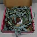 Hairui Lighted Artificial Olive Garland 6FT 96 LED Fairy Lights Battery Operated, Faux Vine Lights with Timer for Spring Christmas Holiday Fireplace Decoration