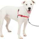 PetSafe Deluxe Easy Walk Harness - Trainer-Trusted Dog Chest Harness with Breathable Martingale Loop Design - Helps Stop Pulling with No Choking & Gagging - Medium/Large - Rose