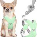 Pawaboo Small Dog Harness and Leash Set, Puppy Harness X-Frame No Pull No Choke, Dog Vest Harness Adjustable for Small Medium Sized Dogs, Soft Breathable Pet Harness for Walking Outing, S, Mint Green