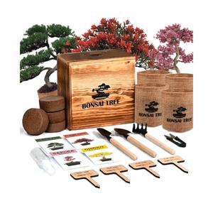 Bonsai Garden Starter Kit, 4 Seeds Growing into Sakura, Ginkgo, Black Pine, Red Flame, Including Complete Gardening Tools & A Planter Box with Cover for Men Women Beginners