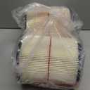 2 Pack 17816 9-17816 Red Stripe Vacuum Cartridge Filter Compatible Wet/Dry Vacuum Models 5, 6, 8, 12, and 16 32 Gal. Vacuums Produced Since 1988 8.5 Inches- White/Red