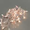 PREXTEX 10 Ft String Lights with Christmas Tree Light Warm White - Indoor/Outdoor Decor - 50 Count Christmas Lights for Holidays - Xmas Light on White Wire - Multi-Strand Connectable