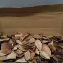 41in Orchids Artificial Flowers Fake Orchid 6PCS Velvet Silk Orchids That Look Real Long Stem Artificial Flowers for Tall Vase for Home Party Fall Halloween Dcor (Coffee)