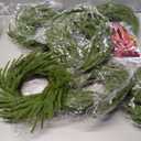 6 Pack Artificial Christmas Wreaths for Front Door, Norfolk Pine & Cedar Greenery with Red Velvet Bows, Real Touch Holiday Wreaths for Indoor Outdoor Decoration, No Assembly Needed