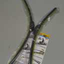 24''+19'' Front Windshield Wiper Blades Compatible with 2002-2006 Toyota Camry 2004-2008 Toyota Solara OEM QUALITY Premium All-Season Automotive Replacement Wipers(Pack of 2)