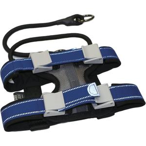 Cesar Millan Pack Leader Collar - Training Collar of The Dog Whisperer (Large, Blue)