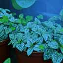 Miracle LED Hydroponics LED Indoor Grow Light Kit - Includes 3 Ultra Grow Blue Spectrum 150W Replacement Grow Light Bulbs & 1 3-Socket Corded Fixture with SproutMatic Timer (4-Pack)