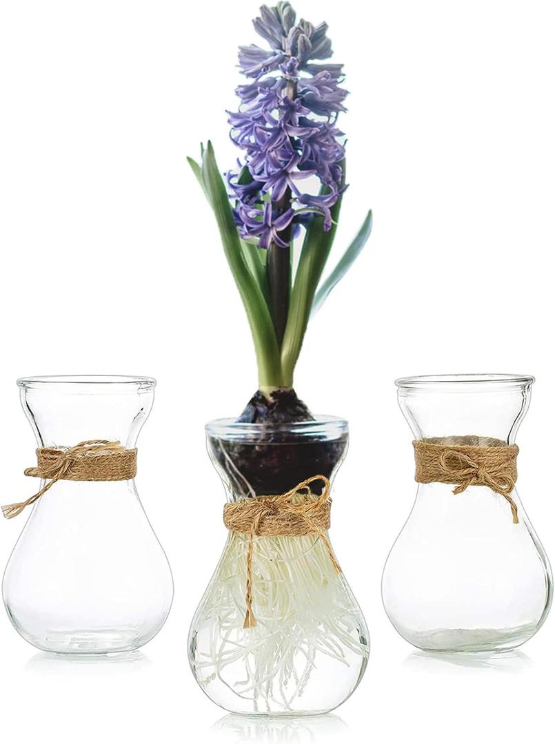 Small Glass Vases for Centerpieces - Hewory 3pcs Clear Mini Hyacinth Avocado Growing Bud Vase Bulk, Cute Tiny Flower Bulb Forcing Plant Containers Set for Wedding Home Living Room Table Decorations