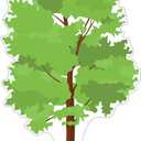 Cardboard People Tree Life Size Cardboard Cutout Standup, One Size