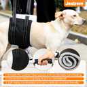 Dog Lift Harness, Adjustable Comfortable Dog Sling with Handle for Hind Leg Support Soft Lift Support and Rehab Harness for Weak Rear Legs, Helps Senior, Injured, Disabled and After ACL Surgery Dogs M