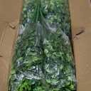 Sggvecsy Artificial Flowers for Outdoors 24 Bundles UV Resistant Boxwood Shrubs Artificial Eucalyptus Fake Plants Faux Plastic Greenery for Farmhouse Garden Indoor Outdoor Home Wedding Decoration