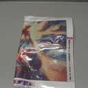 WUDWL Diamond Painting Kits for Adults - Princess DIY 5D Diamond Art Kits Full Drill Diamond Dots Paintings with Diamonds Gem Art and Crafts Home Decor 12x16inch ﻿