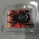 Halloween Black Flocking Spider,Simulation Trick-or-Treating Toys