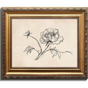Kizbok Gold Framed Wall Art for Home Decor, Vintage Peony Line Art Prints, Minimalist Beige Flower Sketch Drawing Canvas Painting, Rustic Floral Wall Decor for Bedroom Decor, Aesthetic Farmhouse Botanical Deco r Framed Art Picture for Living Room Bathroom Gallery Shelf Decoration - 9x12inch