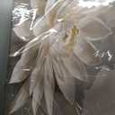 Large Wall Art For Living Room Floral Wall Art Decor Modern Canvas Art Wall Decor 29" X 58" Painting White Flower Wall Art Picture For Bedroom Home Office Home Artwork