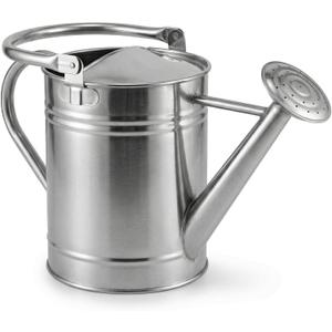 Gardenised 1 Gallon Galvanized Metal Watering Can with Removable Long Spout & Sprinkler Head for Indoor & Outdoor Use Ideal for Garden Flowers Plants Houseplants Modern Home Accessories, Silver- Tone