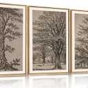HOURIA Vintage Tree Sketch Framed Canvas Wall Art Set,Natural Brown and Gray Woodland Wall Decor,Mid Century Nature Forest Artwork,Textured Botanical Art Print for Living Room,Bedroom,Office-16"x24" x3