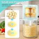 Electric Mini Food Chopper, Clear Container with Blue Lid, Compact Size (Green)