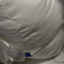 Casper Sleep Essential Pillow, Standard Size Medium Soft Feel, Down-Alternative Fill, Supports Side, Back & Stomach Sleepers