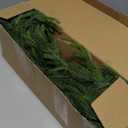 16Pcs 24 Inch Real Touch Norfolk Pine Stems, Artificial Green Plants Branches, Faux Greenery Pine Stem Fake Cedar Picks for Vase, Christmas Pine Branches for DIY Crafts Home Indoor Decor