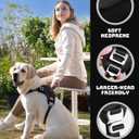 DF No Pull Step-in Martingale Dog Harness, Help Stop Pulling & Choking, Reflective & Adjustable, Front Clip Harness with Lift Handle, Tactical Silent Metal Buckle, Black, 3/4", Front Chest 13.2"-16.0"