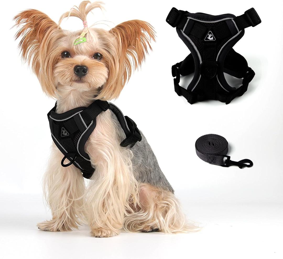Vest Harness Leash Set for Small Dog Cat, Kitten Escape Proof Adjustable Jacket with Lead for Puppy Fat Cat Outdoor Walking, Soft Breathable Mesh Coat with Reflective Strip,M Black