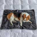 MERRYLIFE Waterproof Throw Blanket for Bed Couch Reversible Absorbent Spills Stain Leak Proof Dog Liquid Pee Proof Bed Furniture Protector (Grey, 30"*40")