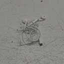 Apple EarPods Headphones with USB-C Plug, Wired Ear Buds with Built-in Remote to Control Music, Phone Calls, and Volume