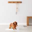 Amazon Basics Leak-Proof Dog and Puppy Potty Training Pee Pads with Quick-Dry 5-Layer Super Absorbent Design, Regular Size 22 x 22 inch, Blue & White, 100 Count