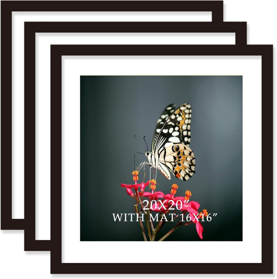20x20 Frame Black With Mat 16x16 Solid Wood Picture Frames (3 pack, 20x20 Inch)