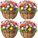 Amagabeli 4 Pack 14 Inch Metal Hanging Baskets Planter Outdoor Round Wire Hanging Basket for Plants with Coco Fiber Liners Chain Plant Holder for Garden Patio Deck Porch Plants Vegetables Flower Pots