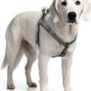 Stripe Step in Dog Harness for Small Dogs, Freedom Nylon Dog Halter Vests, Lightweight and Escape Proof Puppy Harness, Quick Fits for Small Medium and Large Dogs, Blue XS