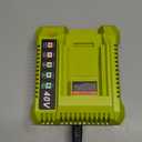 Compatible with Ryobi 40V Charger, OP401 Fast Charger Compatible with Ryobi 40V Battery OP4040 OP4050 OP4060 OP4075 OP40261 OP40601 OP40602 OP40401 OP40301 OP40204 OP40201 OP4015 Lithium Batteries